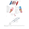 Procedures in Phlebotomy 5th Edition