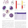 Procedures in Phlebotomy 5th Edition