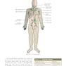 Procedures in Phlebotomy 5th Edition