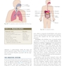 Procedures in Phlebotomy 5th Edition