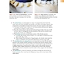 Foundations of Periodontics for the Dental Hygienist