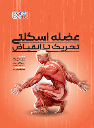 عکس عضله اسکلتی تحریک تا انقباض