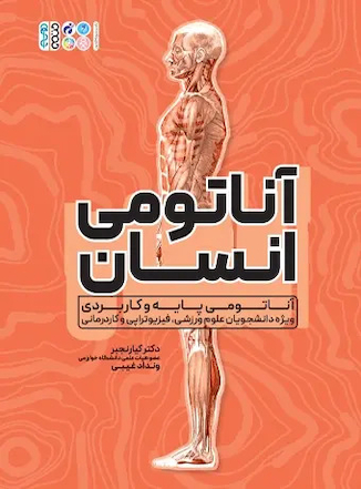 عکس آناتومی انسان