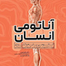 آناتومی انسان
