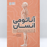 آناتومی انسان