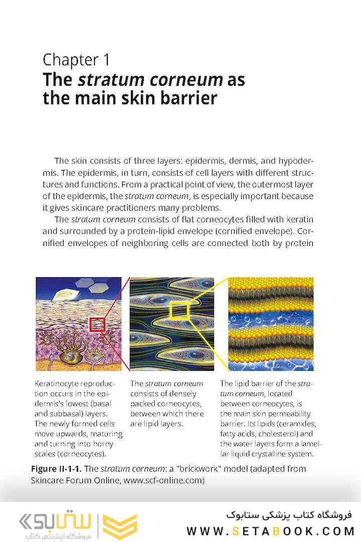 Comprehensive Cosmetic Skincare in Cosmetic Dermatology & Skincare Practice