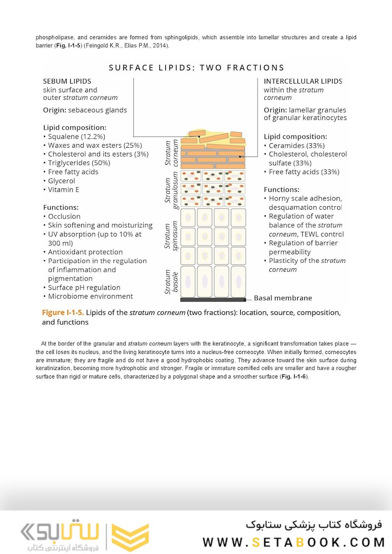 Dry Skin, Atopic Dermatitis, and Psoriasis in Cosmetic Dermatology & Skincare Practice