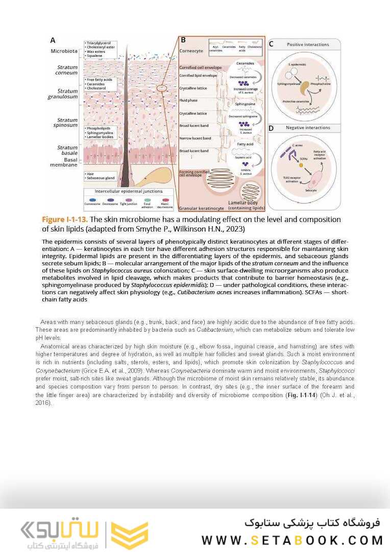Dry Skin, Atopic Dermatitis, and Psoriasis in Cosmetic Dermatology & Skincare Practice