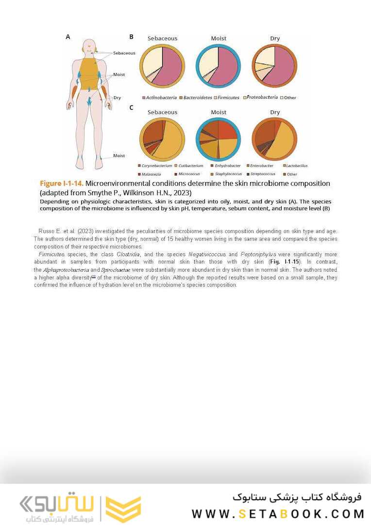 Dry Skin, Atopic Dermatitis, and Psoriasis in Cosmetic Dermatology & Skincare Practice