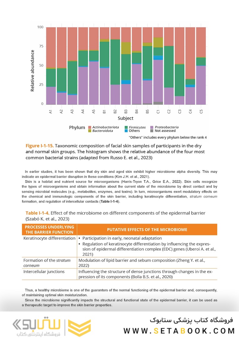 Dry Skin, Atopic Dermatitis, and Psoriasis in Cosmetic Dermatology & Skincare Practice