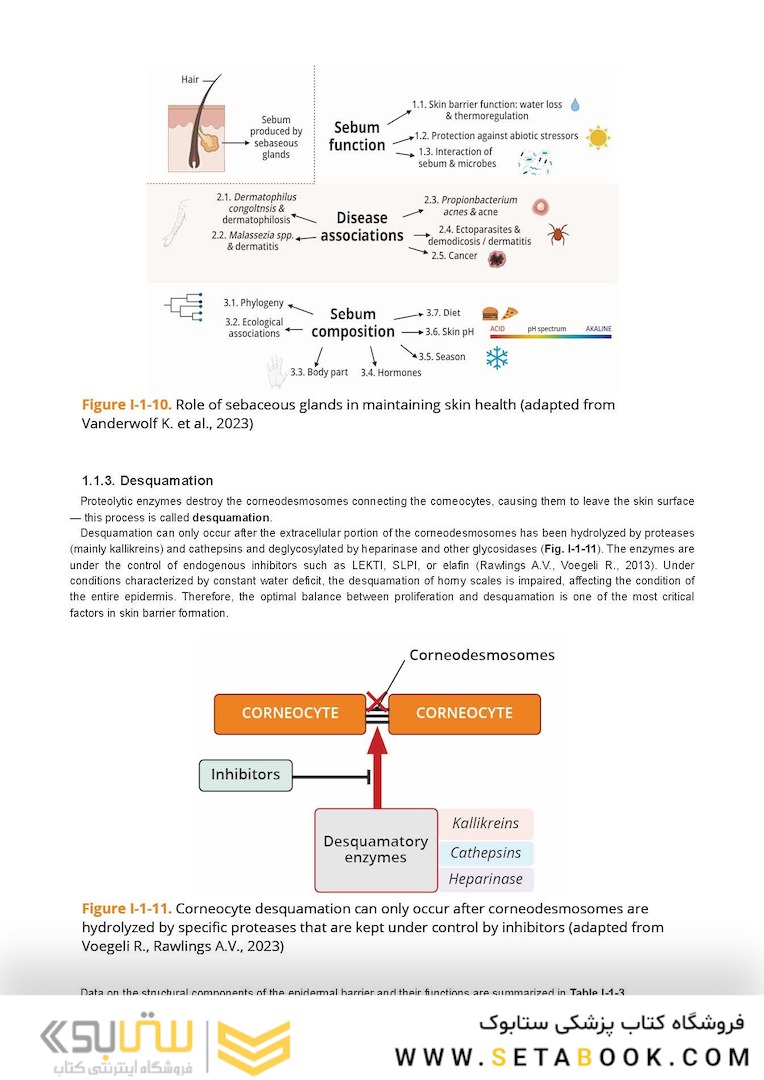 Dry Skin, Atopic Dermatitis, and Psoriasis in Cosmetic Dermatology & Skincare Practice